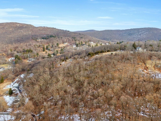 0 Bellwood Ln, Cornwall On Hudson, NY 12520