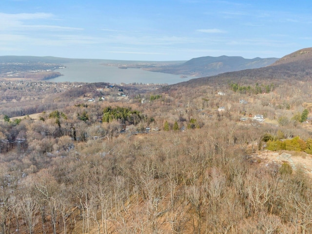 0 Bellwood Ln, Cornwall On Hudson, NY 12520