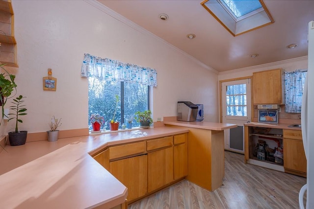 75 Tennyson Dr, Nanuet, NY 10954 - kitchen with a wealth of natural light, a skylight, kitchen peninsula, and light wood-type flooring