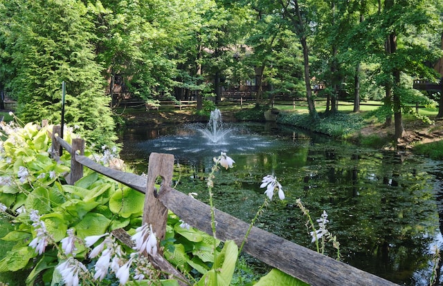 view of water feature