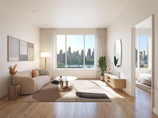 living room with light hardwood / wood-style floors