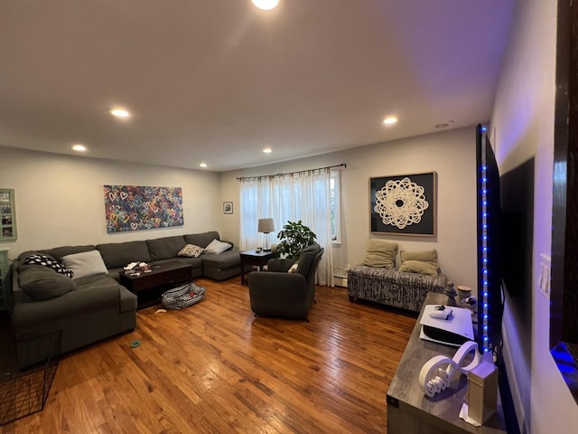 living room featuring hardwood / wood-style flooring