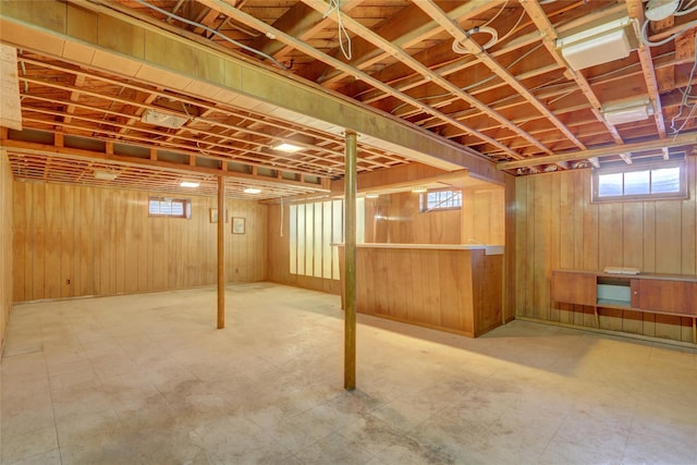 basement with wood walls