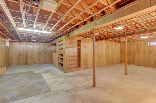 basement with wood walls