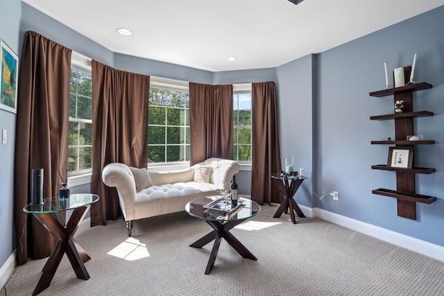 sitting room with light carpet