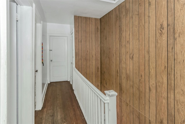 hall featuring wood walls and dark hardwood / wood-style floors