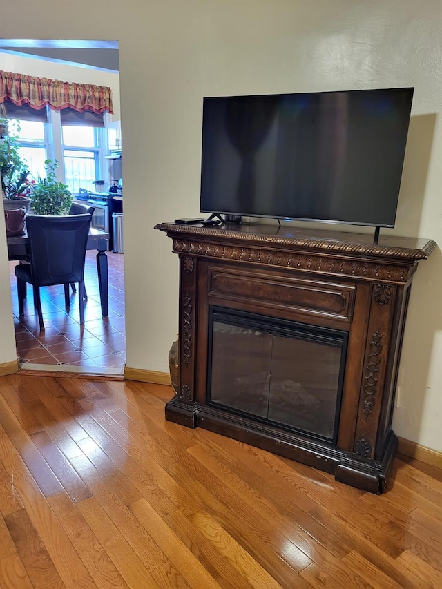 room details with hardwood / wood-style flooring