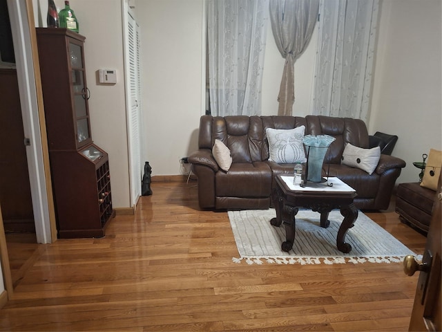 living room with hardwood / wood-style flooring