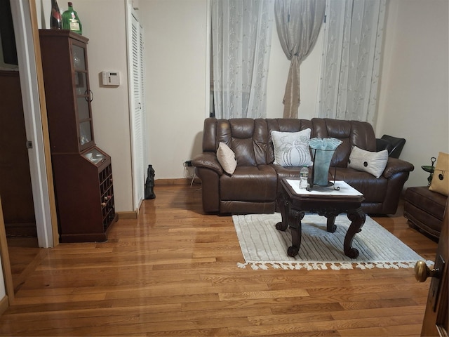 living room featuring wood-type flooring