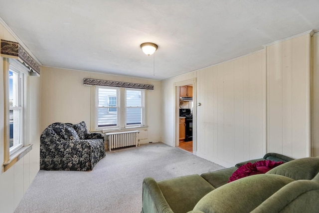 carpeted living room with radiator heating unit