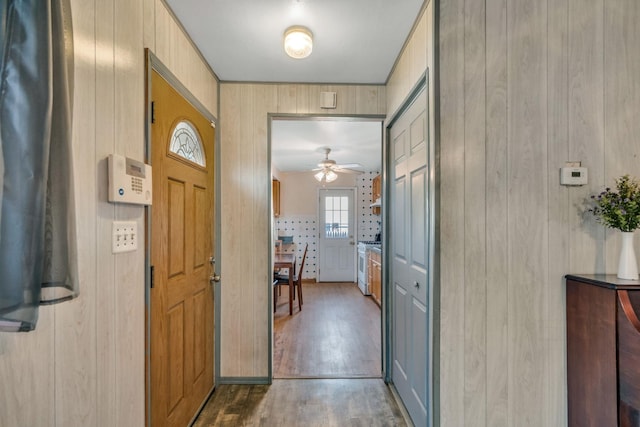 foyer entrance featuring dark wood-type flooring, ceiling fan, and wooden walls