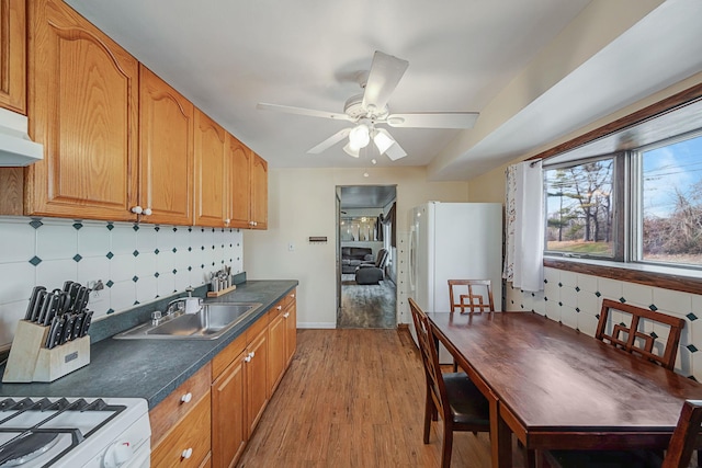 kitchen with decorative backsplash, ceiling fan, light wood-type flooring, and sink