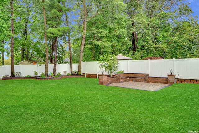 view of yard featuring a patio and a fenced backyard