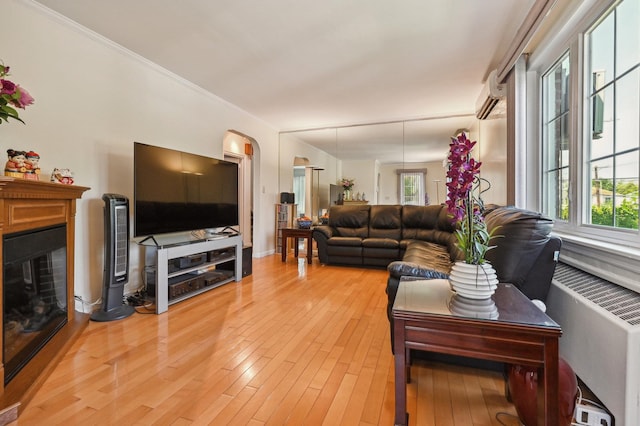 living room featuring hardwood / wood-style flooring and a wall unit AC