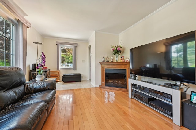 living room featuring light hardwood / wood-style flooring and ornamental molding