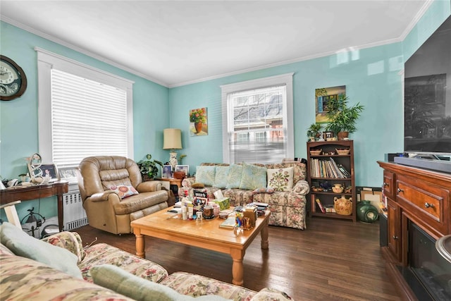 living room featuring crown molding, radiator heating unit, and dark hardwood / wood-style floors