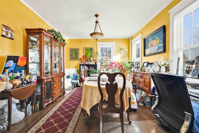 dining space featuring dark hardwood / wood-style flooring