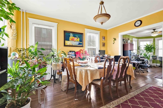 dining space featuring dark hardwood / wood-style floors, ceiling fan, and ornamental molding