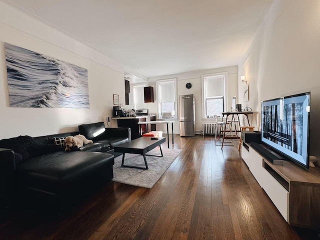 living room featuring radiator and dark wood-type flooring