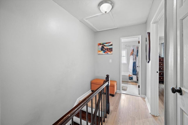 hallway with light hardwood / wood-style floors