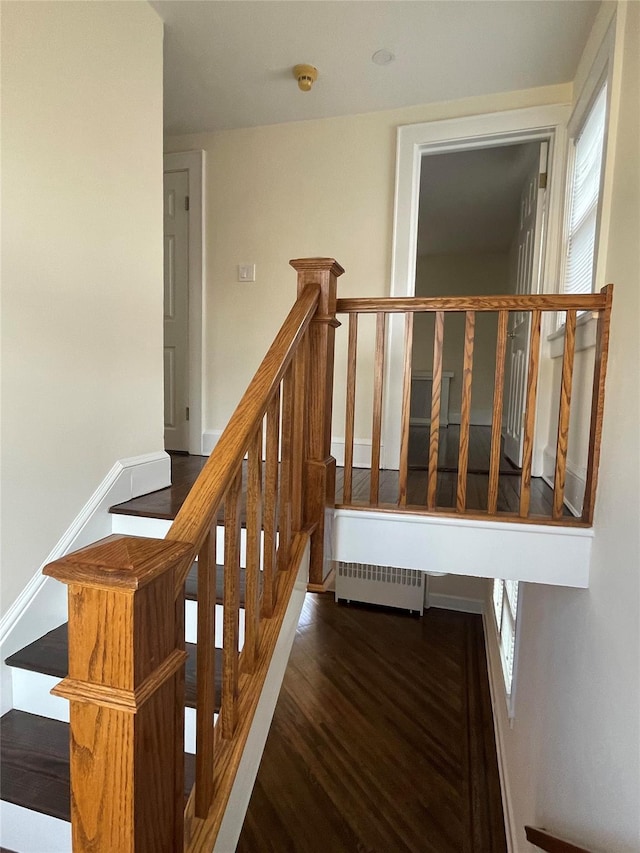 stairs featuring hardwood / wood-style floors and radiator