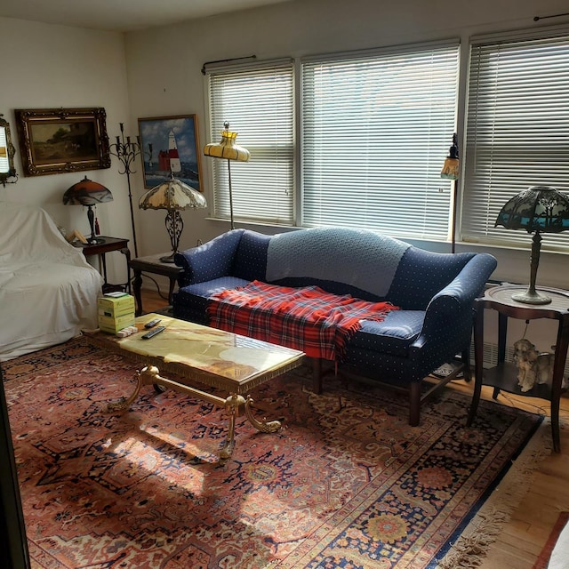 living room featuring hardwood / wood-style floors