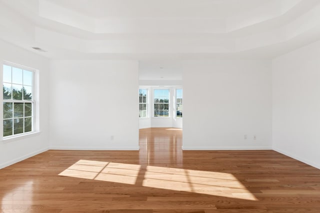 spare room with hardwood / wood-style flooring and a raised ceiling