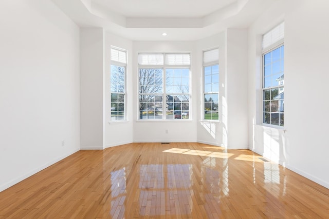 unfurnished room featuring a raised ceiling, basketball court, and light hardwood / wood-style floors