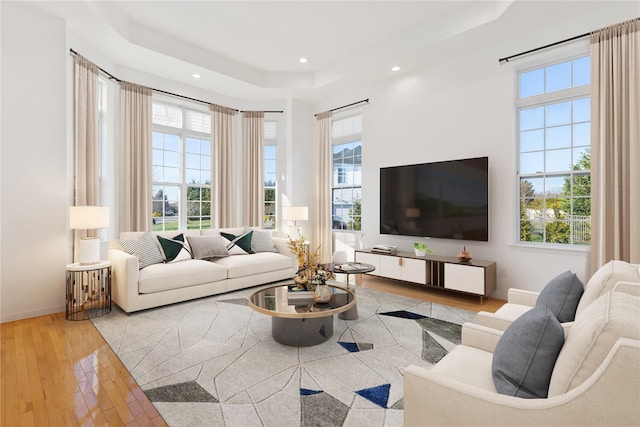 living room featuring light hardwood / wood-style floors and a raised ceiling