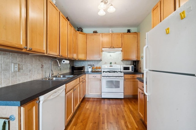 kitchen featuring tasteful backsplash, light wood-type flooring, sink, and white appliances