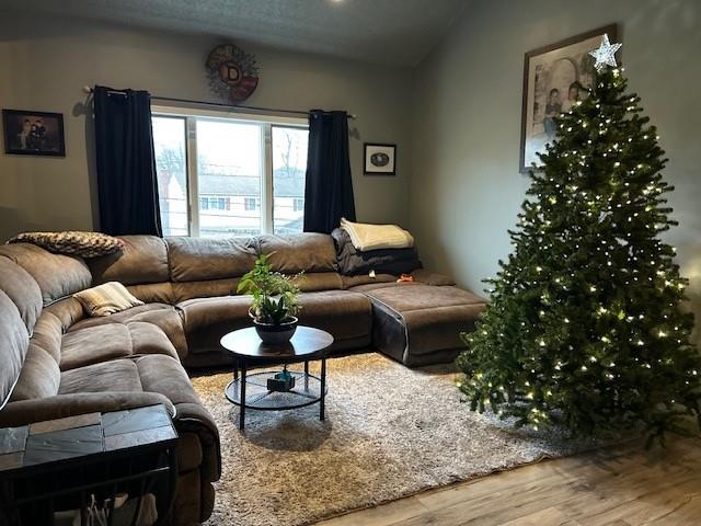 living room with hardwood / wood-style flooring and vaulted ceiling