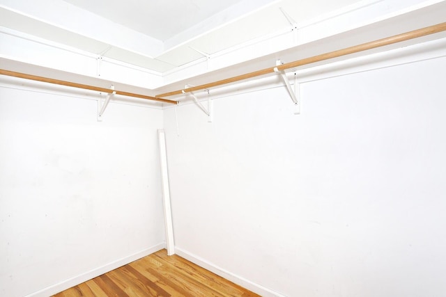 walk in closet featuring hardwood / wood-style flooring