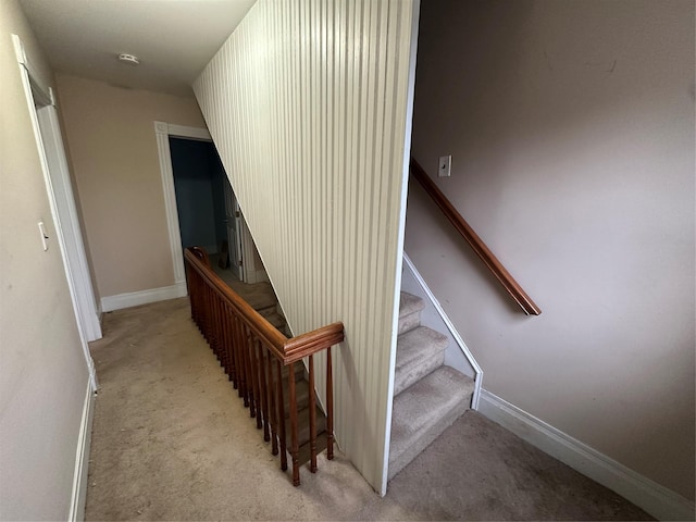 stairway with carpet flooring