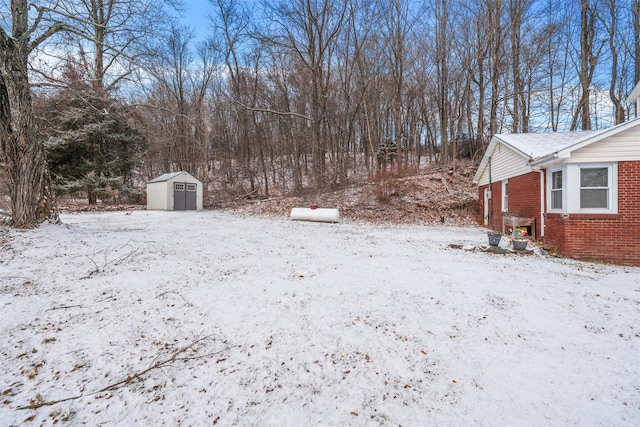 yard layered in snow with a storage unit