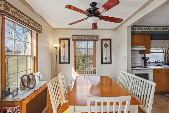 dining space featuring sink, crown molding, and plenty of natural light