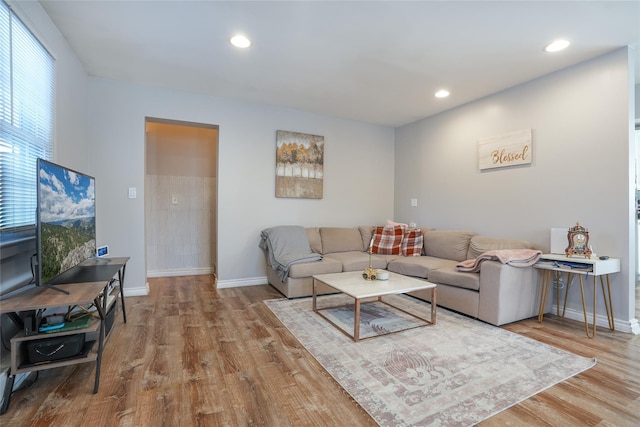 living room featuring light hardwood / wood-style flooring