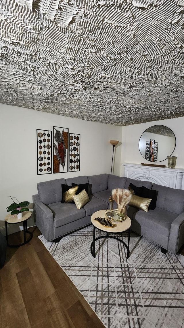 living room featuring a fireplace and wood finished floors