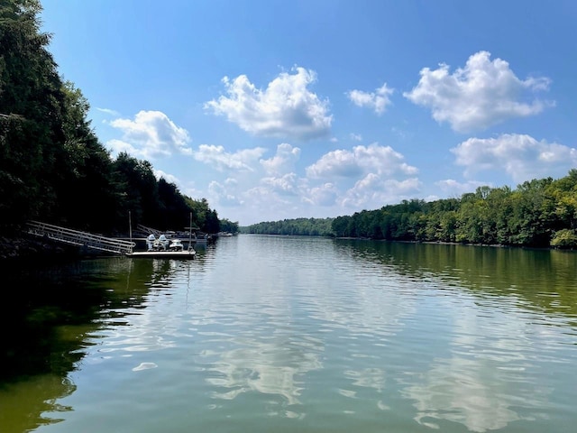 view of water feature with a boat dock