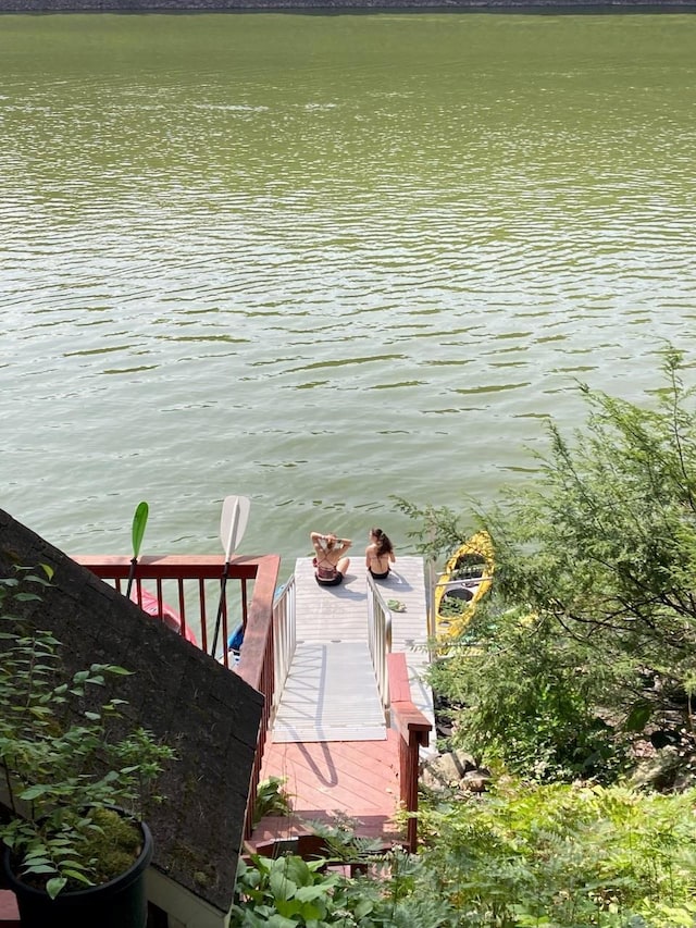 dock area featuring a water view