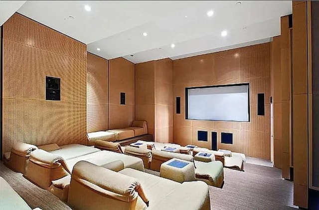 carpeted cinema with wooden walls