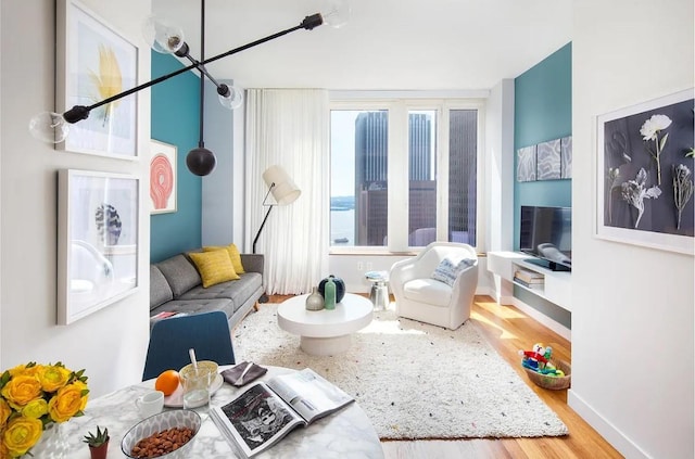 living room with wood-type flooring