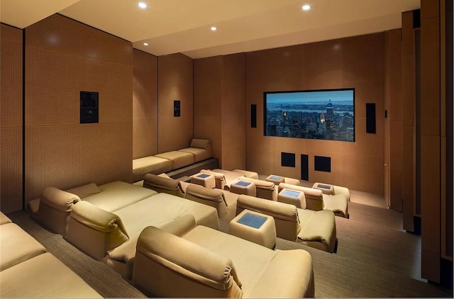 cinema room with carpet floors