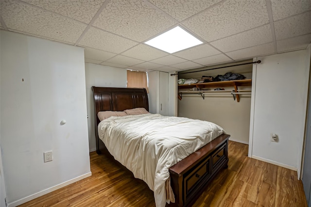 bedroom featuring a closet, a paneled ceiling, and hardwood / wood-style flooring