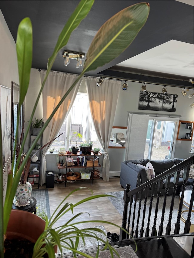 living room featuring hardwood / wood-style floors and a wealth of natural light