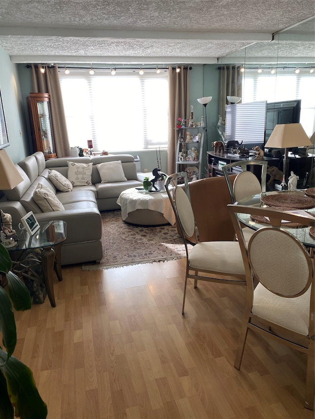 living room featuring a textured ceiling and hardwood / wood-style floors