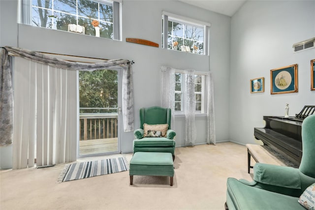 sitting room featuring carpet and a high ceiling