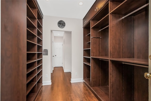 walk in closet featuring dark hardwood / wood-style floors