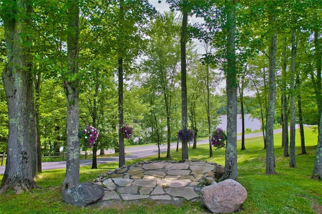 69 Lippincott Rd, Wallkill, NY 12589 - view of grassy yard
