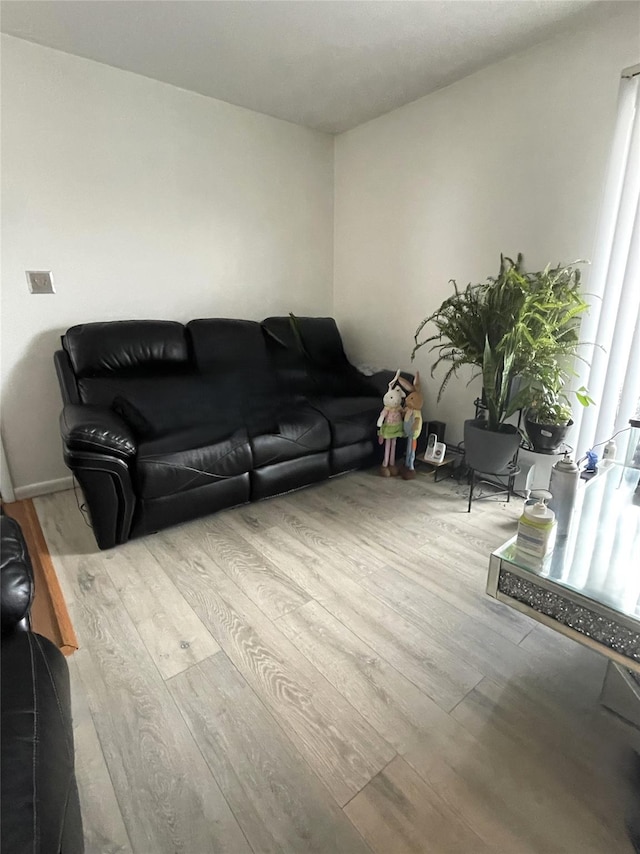 living room featuring light wood-type flooring