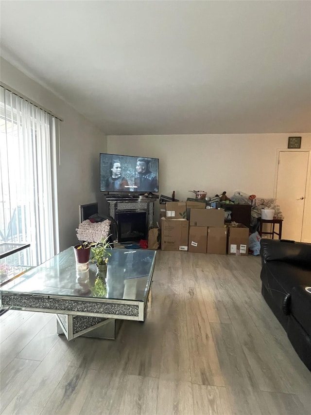 living room featuring light hardwood / wood-style floors